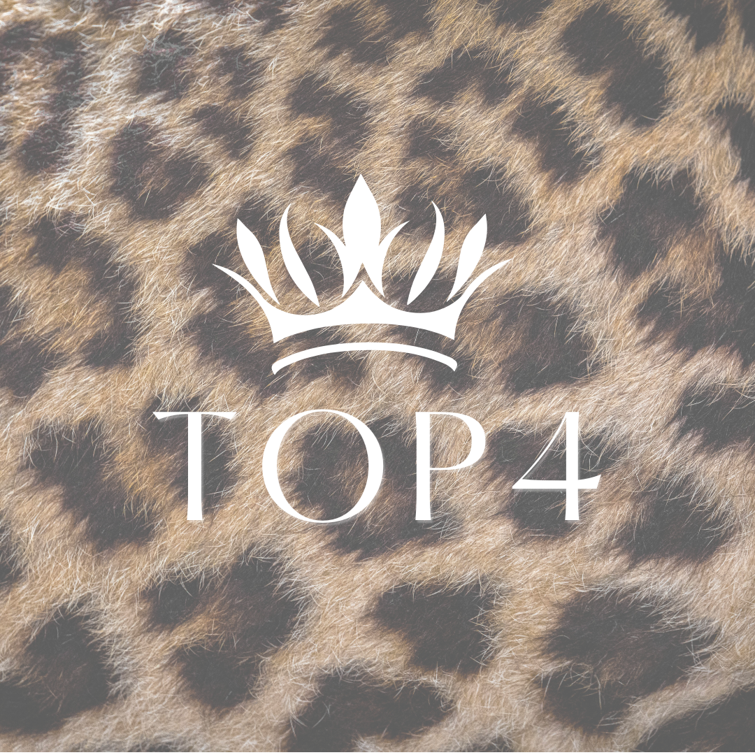 Ranking