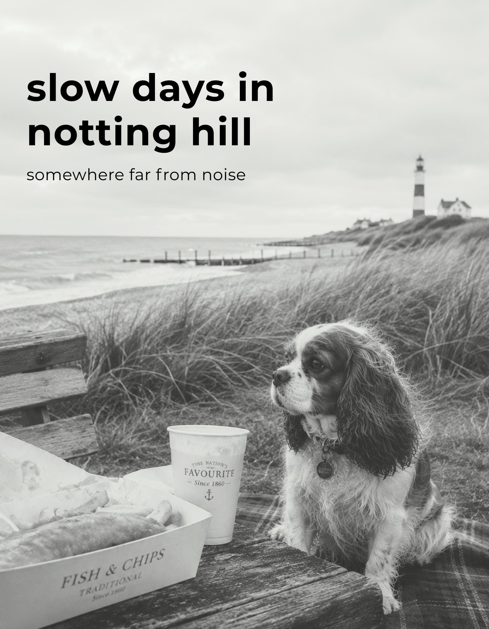 Slow Days Tee（スローデイズ Tee）