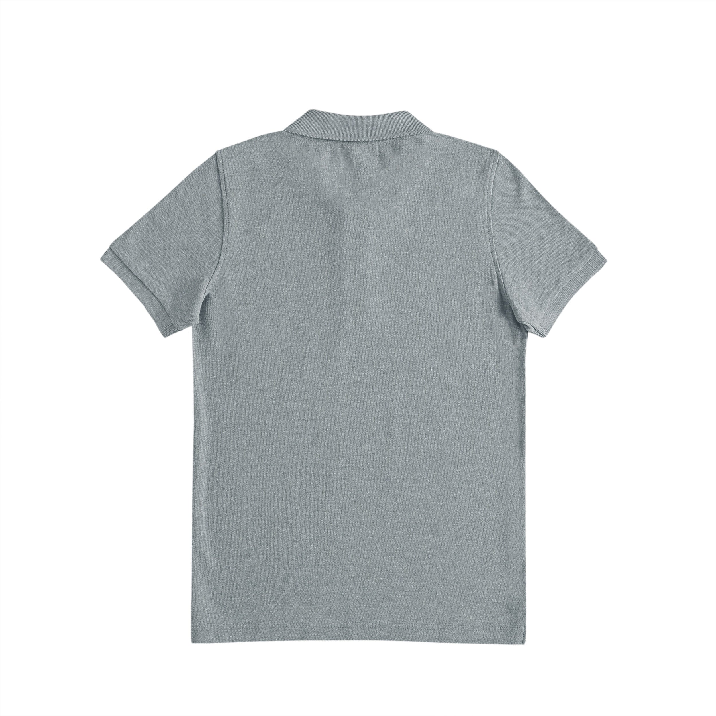 Crest Club Polo Shirt heather-gray image