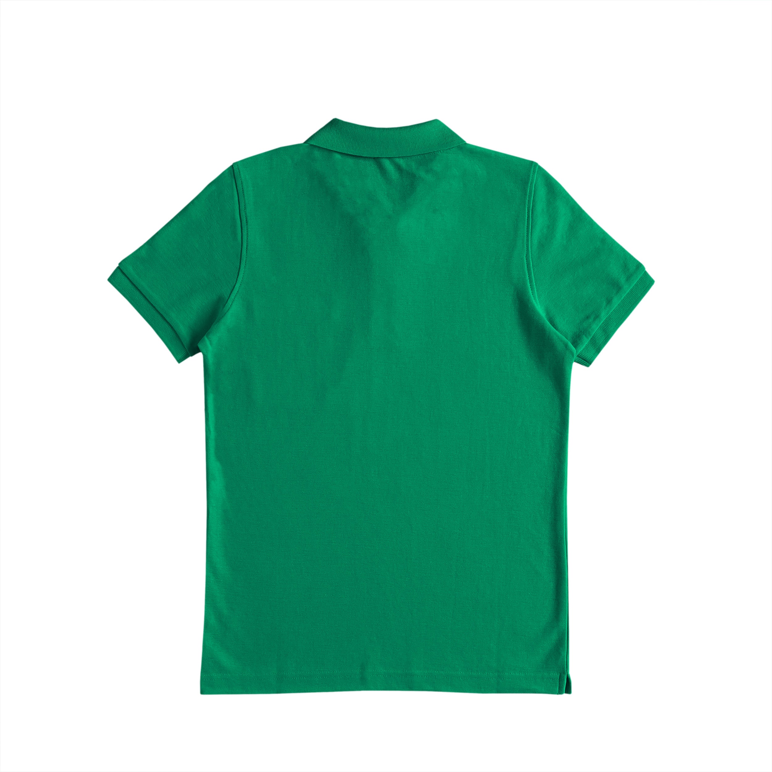 Crest Club Polo Shirt green image