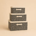 Mode Storage Box　N124