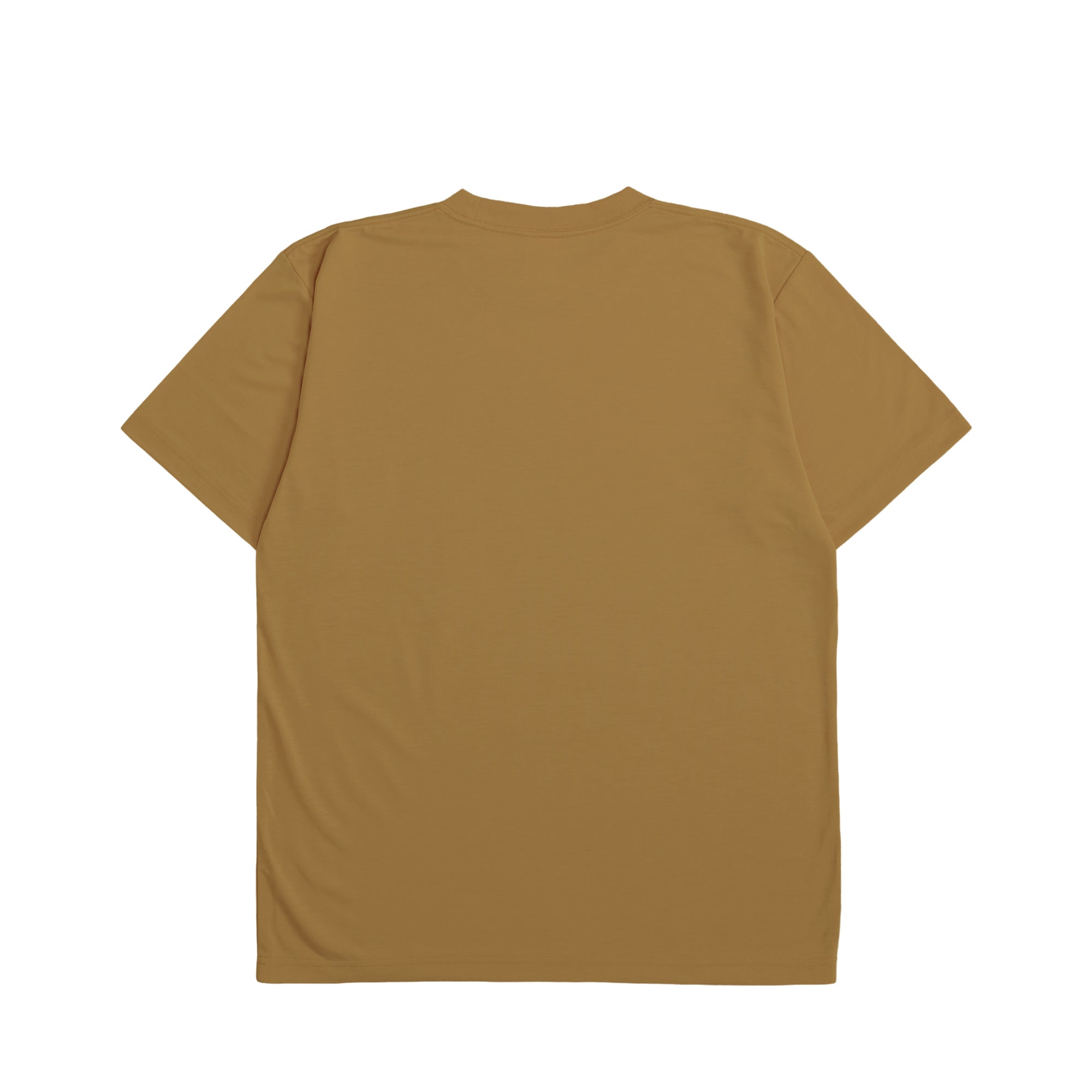 Calm Companion Tee caramel image
