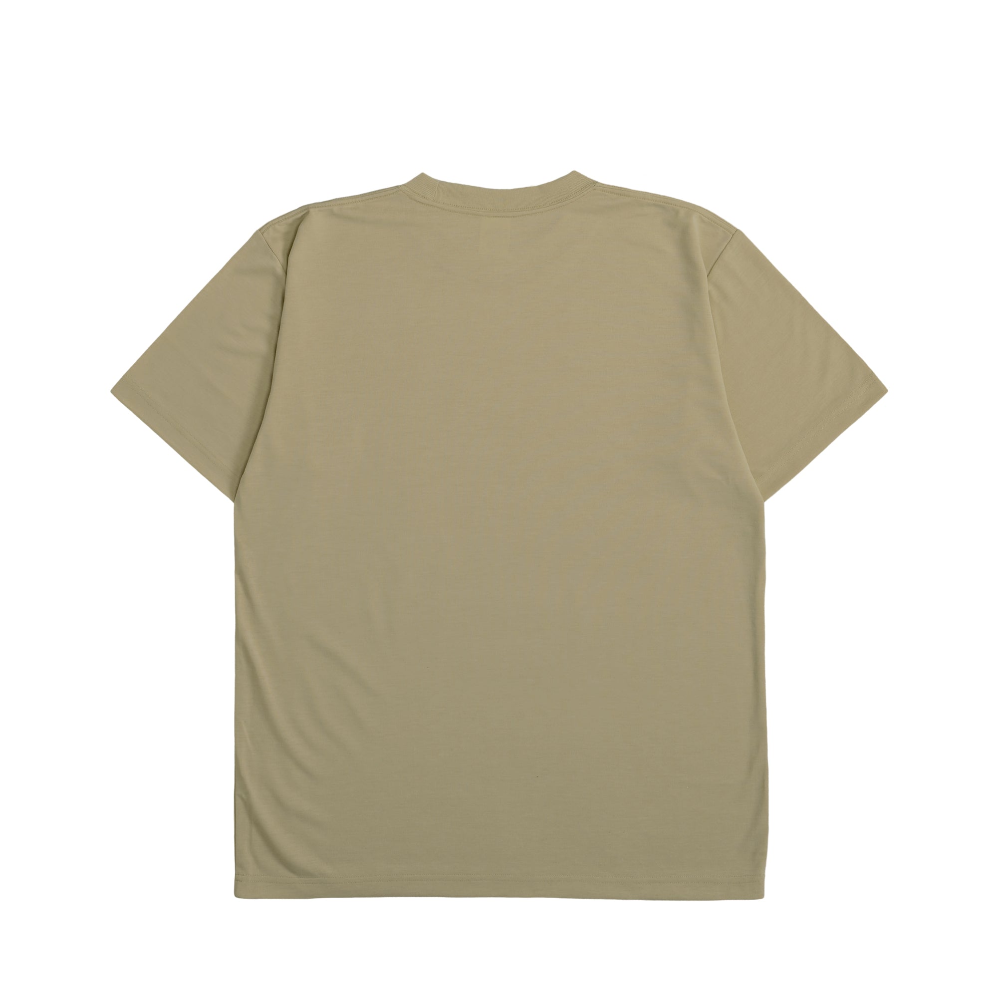 Calm Companion Tee pistachio image