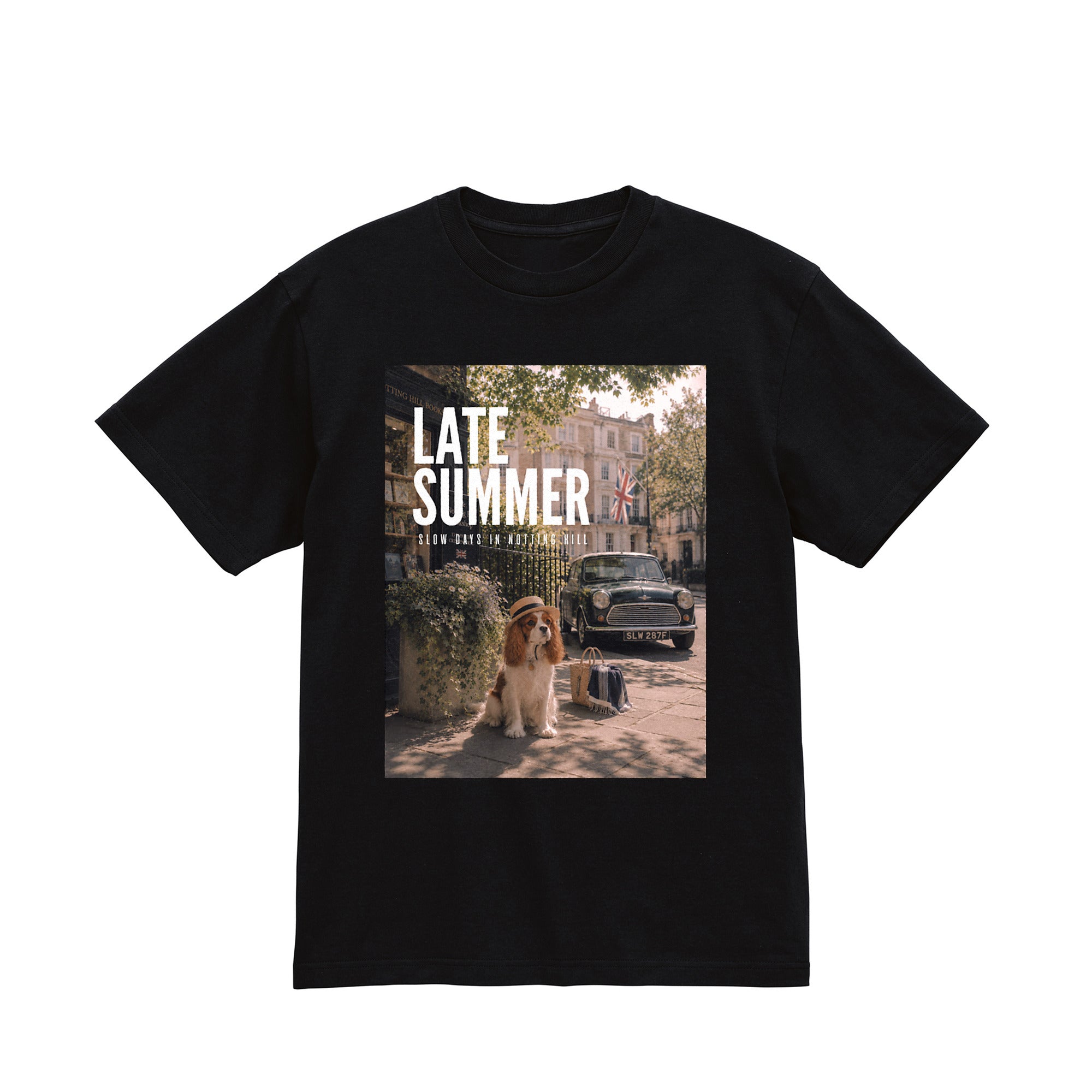 Late Summer Tee（レイトサマー Tee） black image