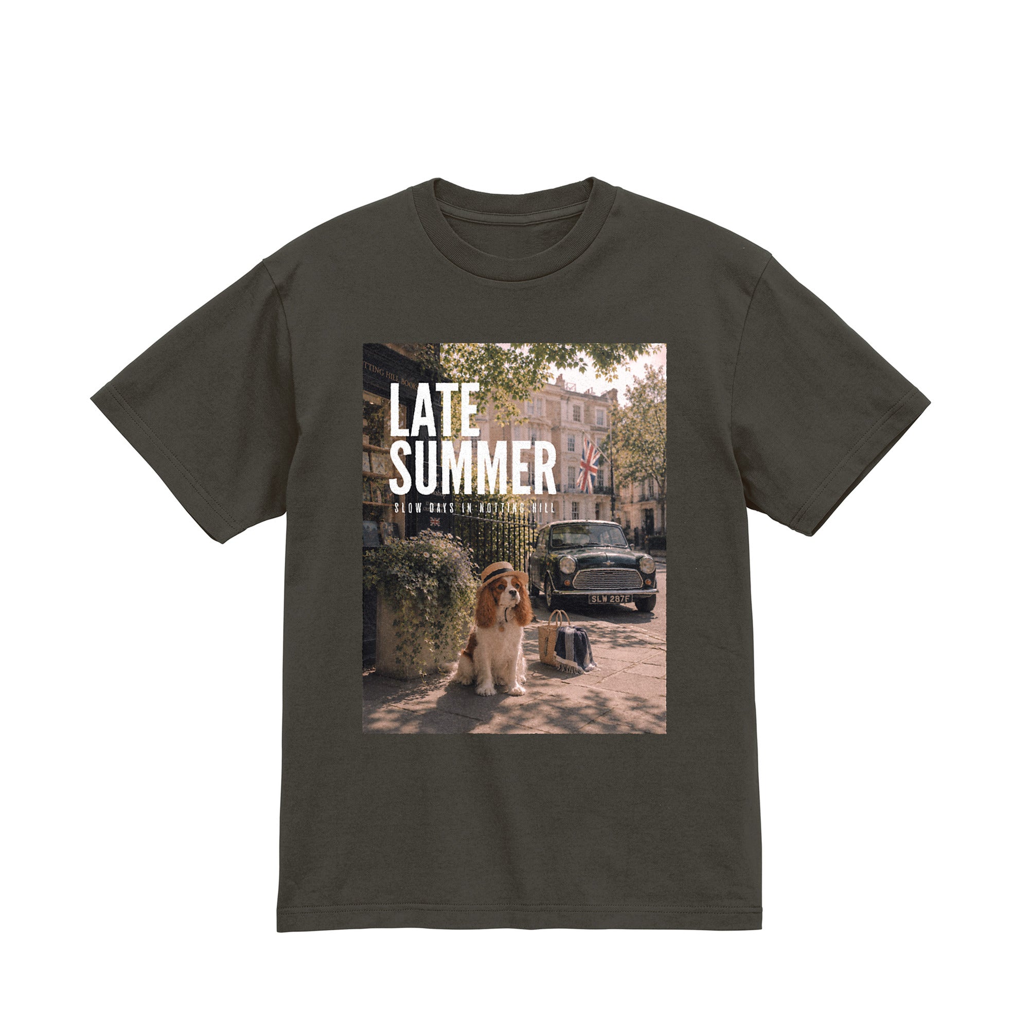 Late Summer Tee（レイトサマー Tee） sumi image