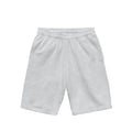 Crest Pants 【4colors】 ash image