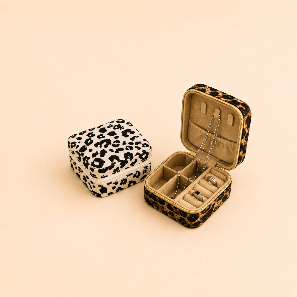 Treasure Case