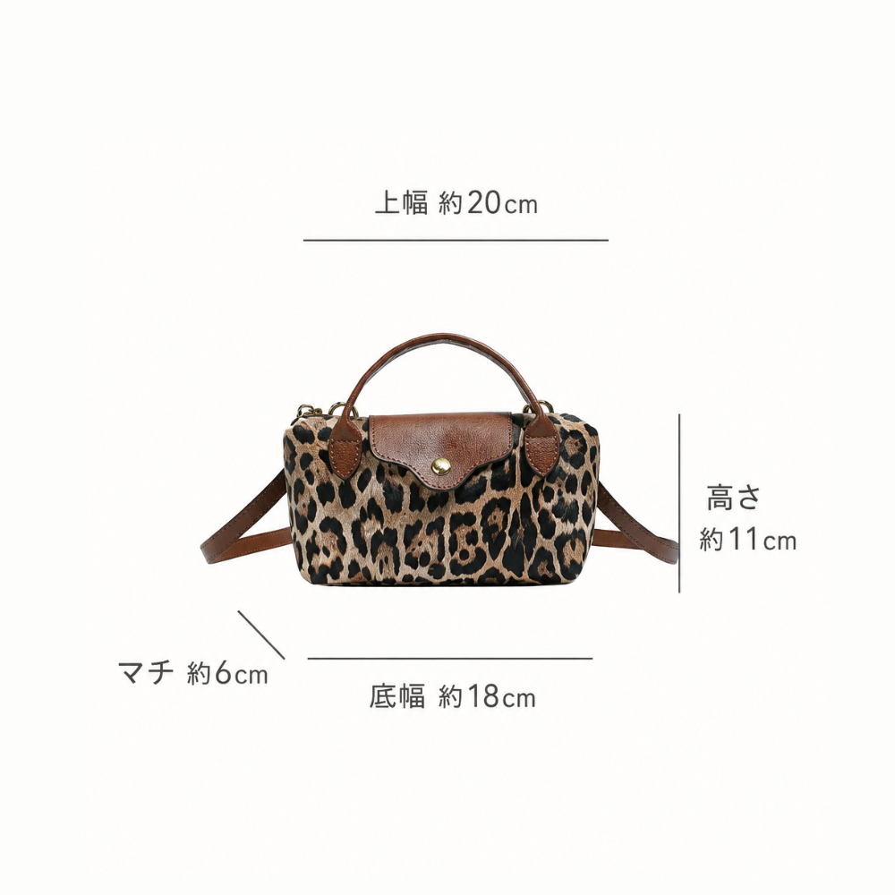 Mini Handbag N122